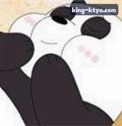 张少